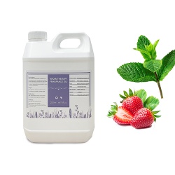 Wholesale Baby Powder Fragrance Oil Natures Garden Fragrance Oil Original Perfume Fragrance Oil